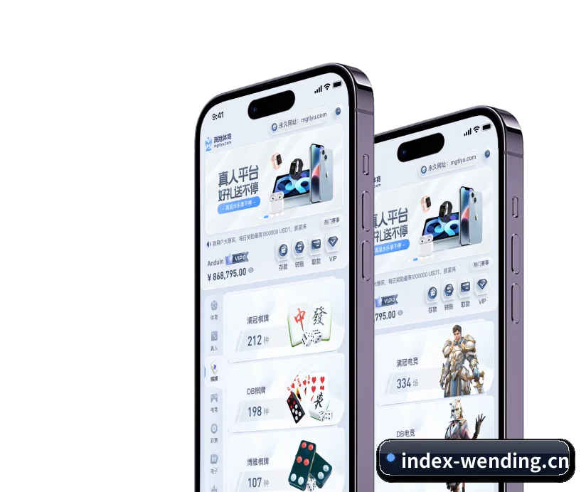 国际化进程